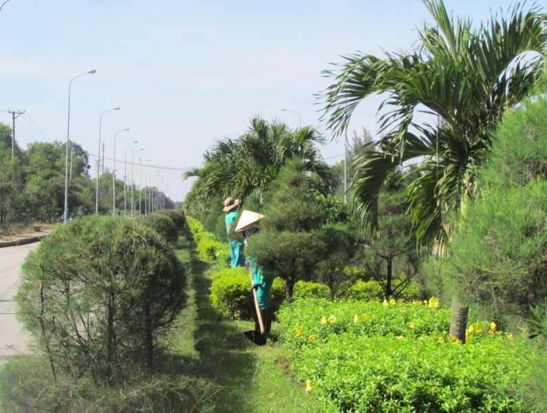 Chăm sóc cây xanh trong KCN