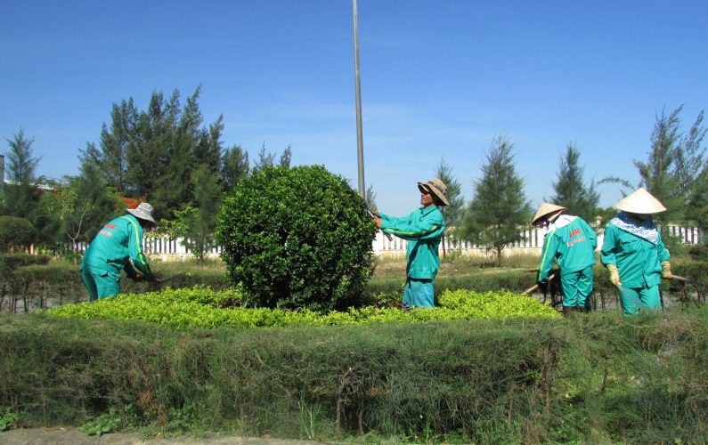 Trồng và chăm sóc cây xanh